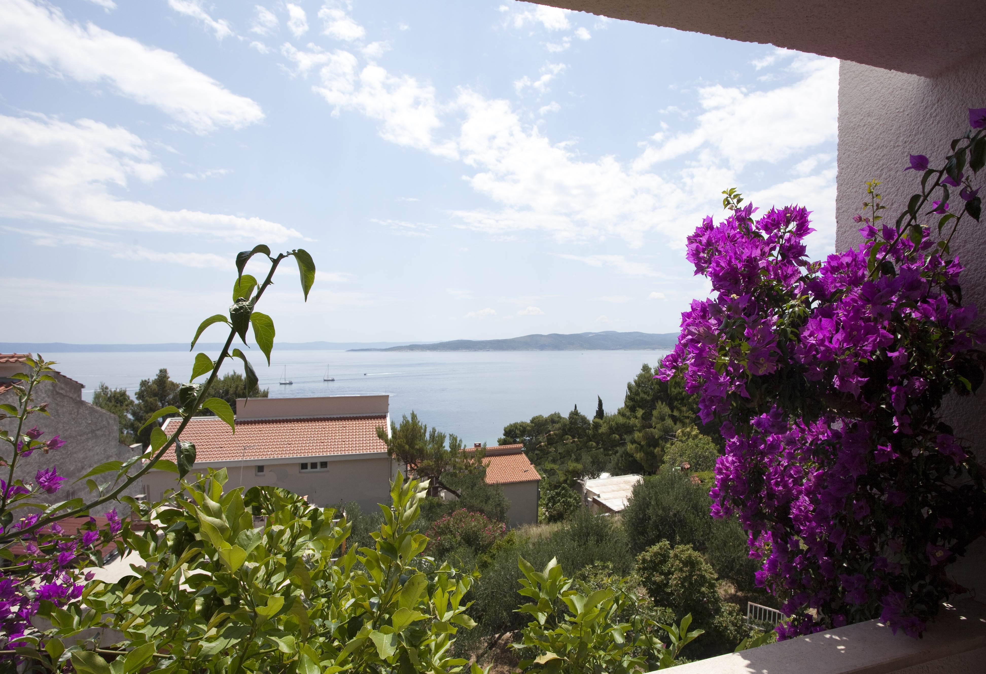 Villa Skalinada, 8 Persons, Private Pool, Baška Voda Dış mekan fotoğraf